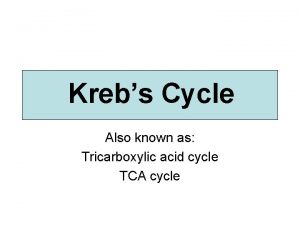 Krebs Cycle Also known as Tricarboxylic acid cycle