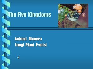 The Five Kingdoms Animal Monera Fungi Plant Protist