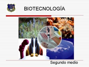 BIOTECNOLOGA Segundo medio Generalidades La Biotecnologa es la