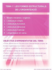 TEMA 7 LES FORMES ESTRUCTURALS DE LORGANITZACI 1