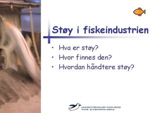 Sty i fiskeindustrien Hva er sty Hvor finnes