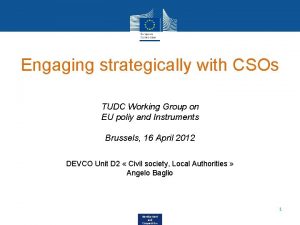 Engaging strategically with CSOs TUDC Working Group on