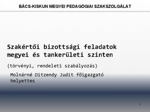 BCSKISKUN MEGYEI PEDAGGIAI SZAKSZOLGLAT Szakrti bizottsgi feladatok megyei