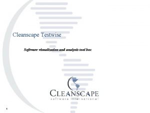 Cleanscape Testwise Software visualization and analysis tool box