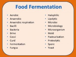 Food Fermentation Aerobic Anaerobic respiration Bacilli Bacteria Brine