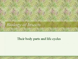 Biology of Insects Their body parts and life