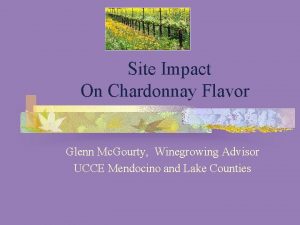 Site Impact On Chardonnay Flavor Glenn Mc Gourty