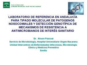 LABORATORIO DE REFERENCIA EN ANDALUCA PARA TIPADO MOLECULAR