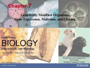 Chapter 7 Genetically Modified Organisms Gene Expression Mutation