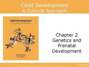 Child Development A Cultural Approach Chapter 2 Genetics
