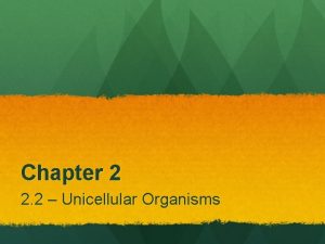 Chapter 2 2 2 Unicellular Organisms Unicellular Organisms