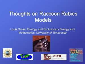 Thoughts on Raccoon Rabies Models Louis Gross Ecology