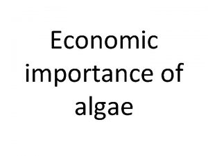 Economic importance of algae Economic importance of Algae