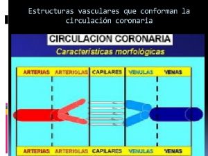 Estructuras vasculares que conforman la circulacin coronaria FUNCIONES