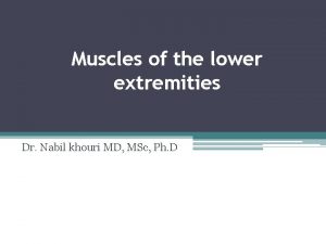 Muscles of the lower extremities Dr Nabil khouri