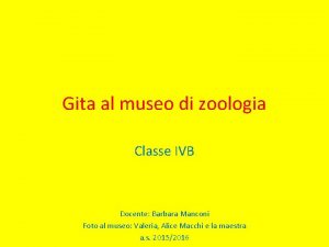 Gita al museo di zoologia Classe IVB Docente