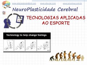 www educacaocerebral com www sinapsi com www proximus