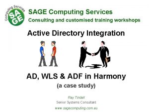 SAGE Computing Services Consulting and customised training workshops