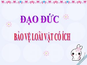 o c Cu hi Nu nhng vic lm