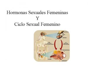 Hormonas Sexuales Femeninas Y Ciclo Sexual Femenino SISTEMA