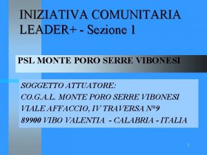 INIZIATIVA COMUNITARIA LEADER Sezione 1 PSL MONTE PORO