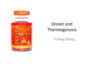 Orexin and Thermogenesis Yufeng Zhang Background Physiological Function