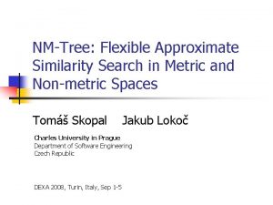 NMTree Flexible Approximate Similarity Search in Metric and