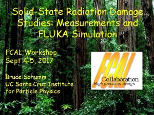 SolidState Radiation Damage Studies Measurements and FLUKA Simulation