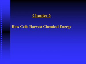 Chapter 6 How Cells Harvest Chemical Energy BREATHING