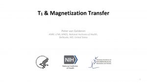 T 1 Magnetization Transfer Peter van Gelderen AMRI