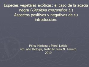 Especies vegetales exticas el caso de la acacia