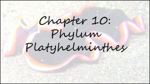 Chapter 10 Phylum Platyhelminthes Phylum Platyhelminthes Contains over