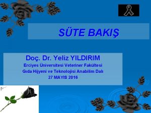 STE BAKI Do Dr Yeliz YILDIRIM Erciyes niversitesi