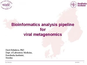 Bioinformatics analysis pipeline for viral metagenomics Davit Bzhalava