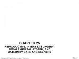 CHAPTER 25 REPRODUCTIVE INTERSEX SURGERY FEMALE GENITAL SYSTEM