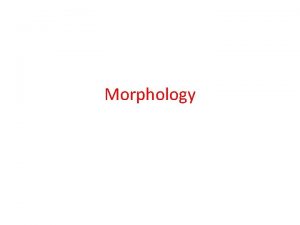 Morphology Morphology is the study of word formation