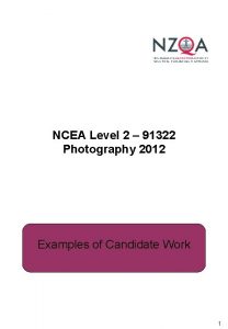 NCEA Level 2 91322 Photography 2012 Examples of