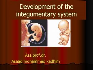 Development of the integumentary system Ass prof dr