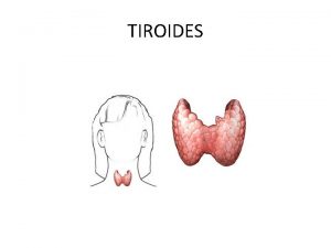 TIROIDES HORMONAS TIROIDEAS Que son El tiroides es