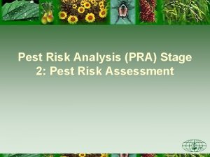 Pest Risk Analysis PRA Stage 2 Pest Risk