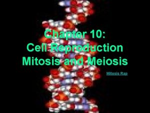 Chapter 10 Cell Reproduction Mitosis and Meiosis Mitosis