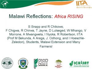 Malawi Reflections Africa RISING S Snapp and R