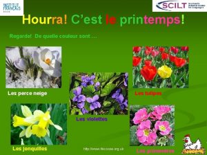 Hourra Cest le printemps Regarde De quelle couleur