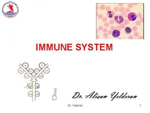 IMMUNE SYSTEM Dr Yldran 1 150 different intracellular