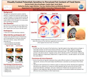 Visually Evoked Potentials Sensitive to Perceived Fat Content