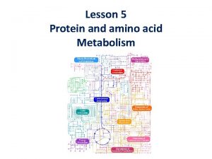 Lesson 5 Protein and amino acid Metabolism Protein