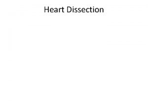 Heart Dissection Wash the heart to remove excess