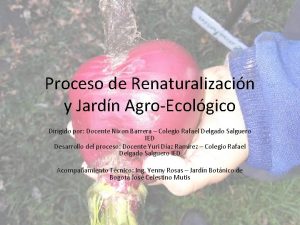 Proceso de Renaturalizacin y Jardn AgroEcolgico Dirigido por
