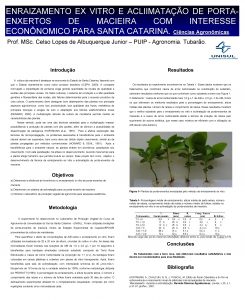 ENRAIZAMENTO EX VITRO E ACLIIMATAO DE PORTAENXERTOS DE