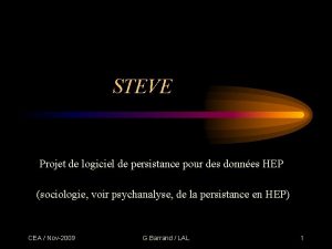 STEVE Projet de logiciel de persistance pour des